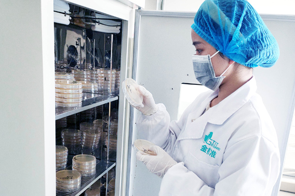 安徽省金標準檢測研究院有限公司